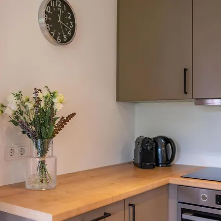 Sion 2 Apartament Maria Alm am Steinernen Meer